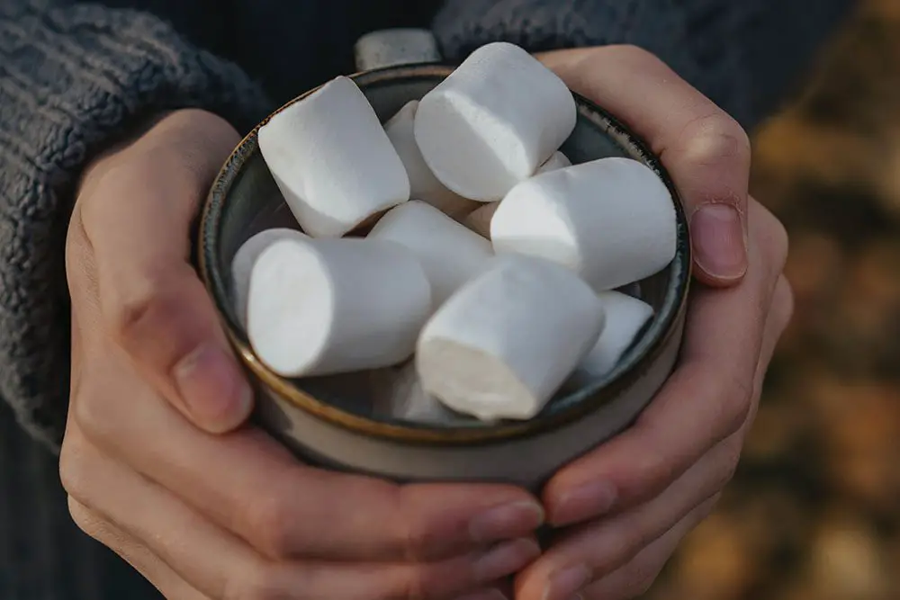 les marshmallows sont-ils végétaliens ?