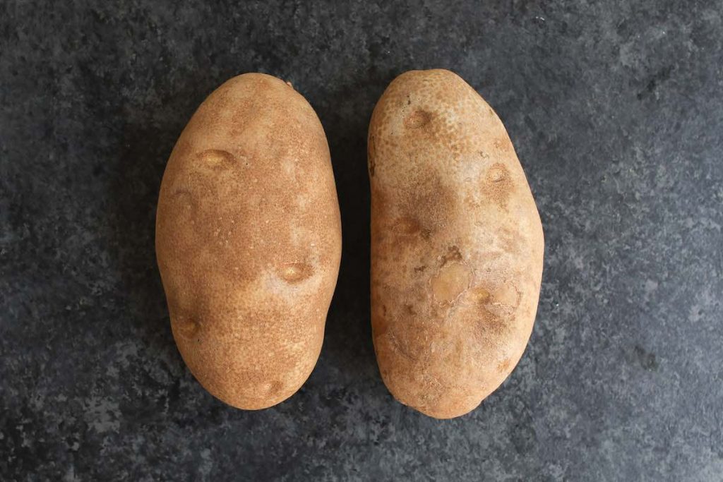 Deux grosses pommes de terre Russet sur le comptoir.